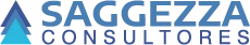 Saggezza Consultores